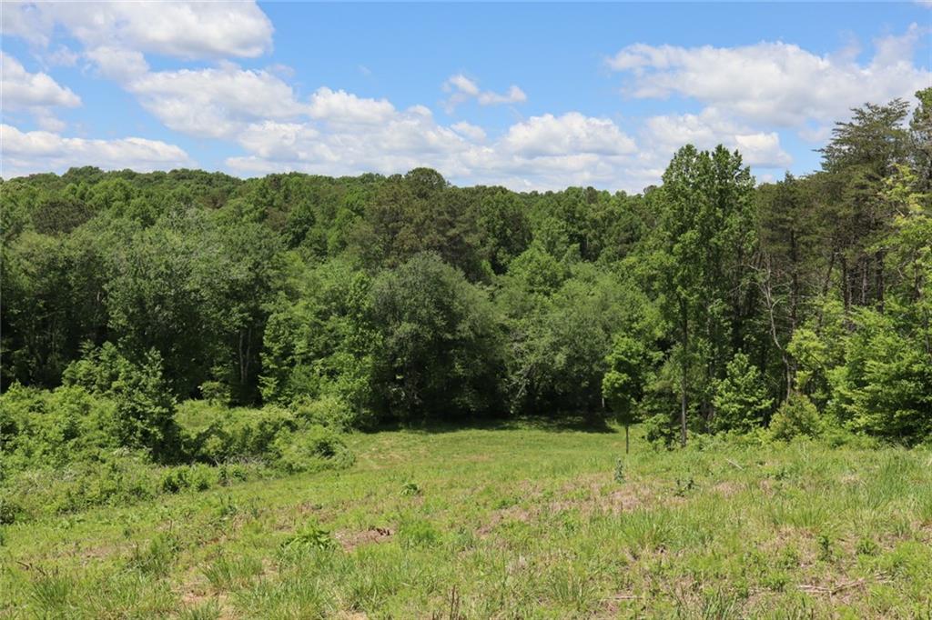 0 Parksbrook Road Ellijay, GA 30540 - Photo 3 of 67