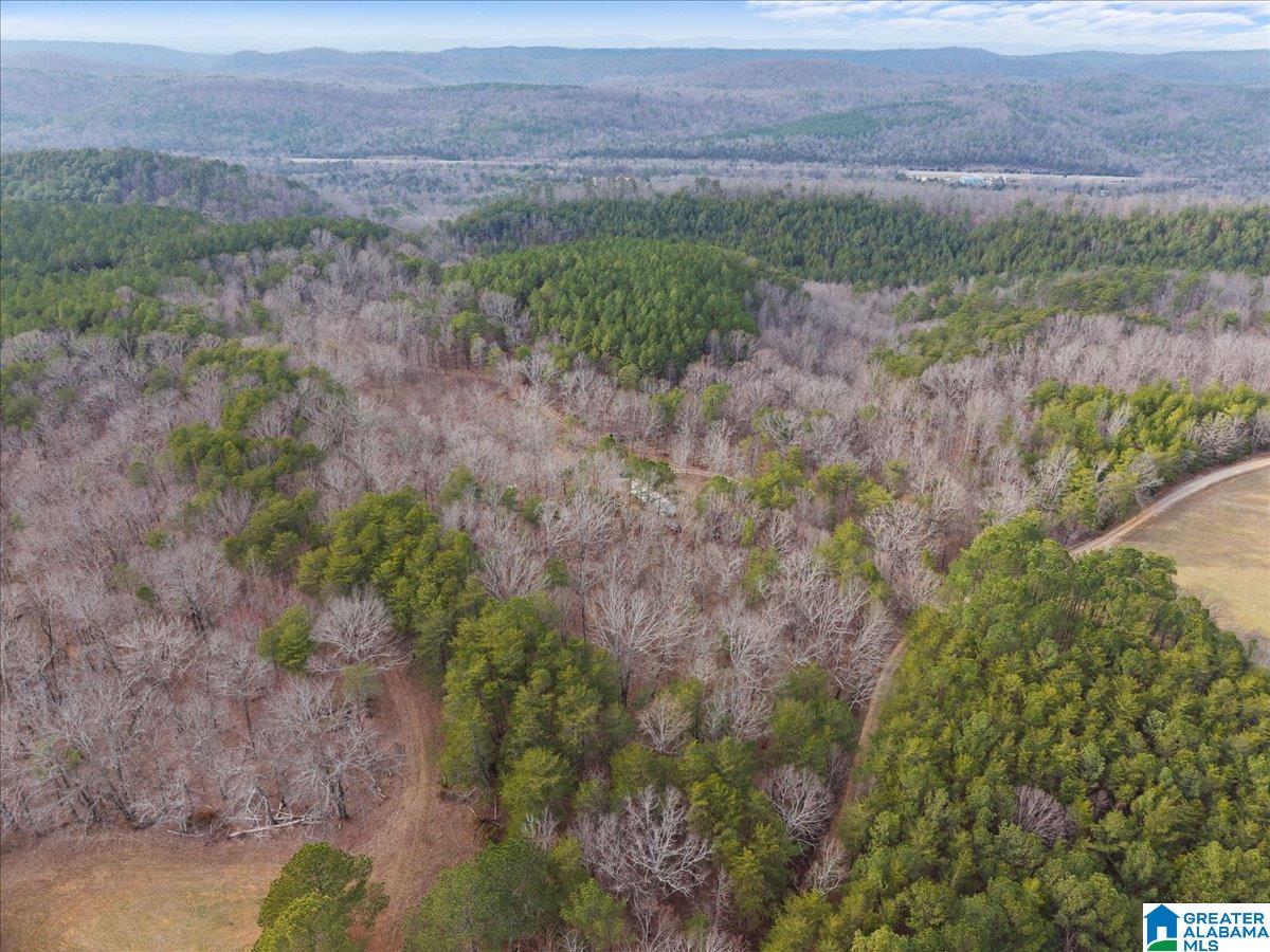 1484 Waid Road Oneonta, AL 35121 - Photo 29 of 33