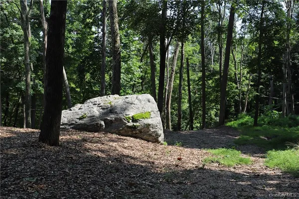 a view of a yard with large trees