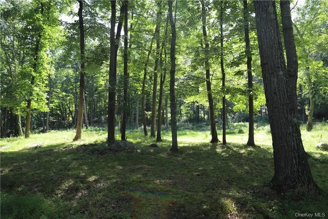 a view of outdoor space with trees in the background
