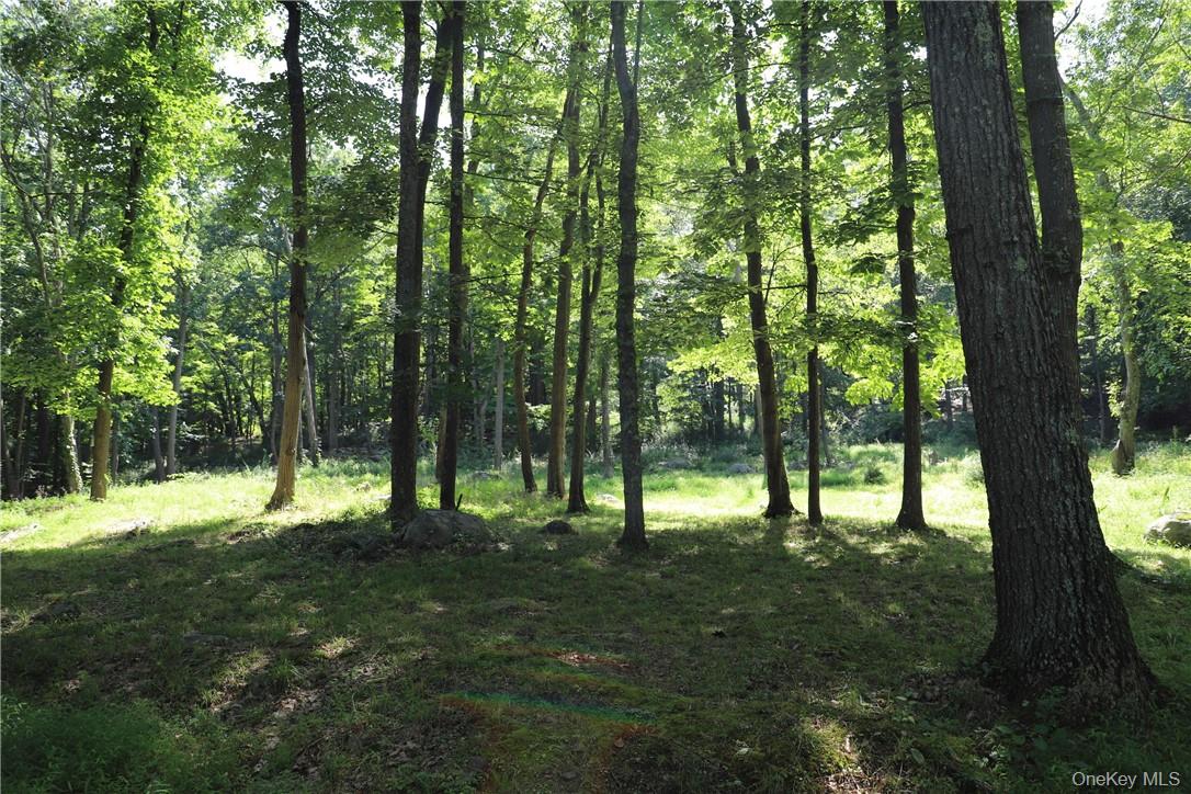 Mountain Farm Road Tuxedo Park, NY 10987 - Photo 4 of 5 a view of outdoor space with trees in the background