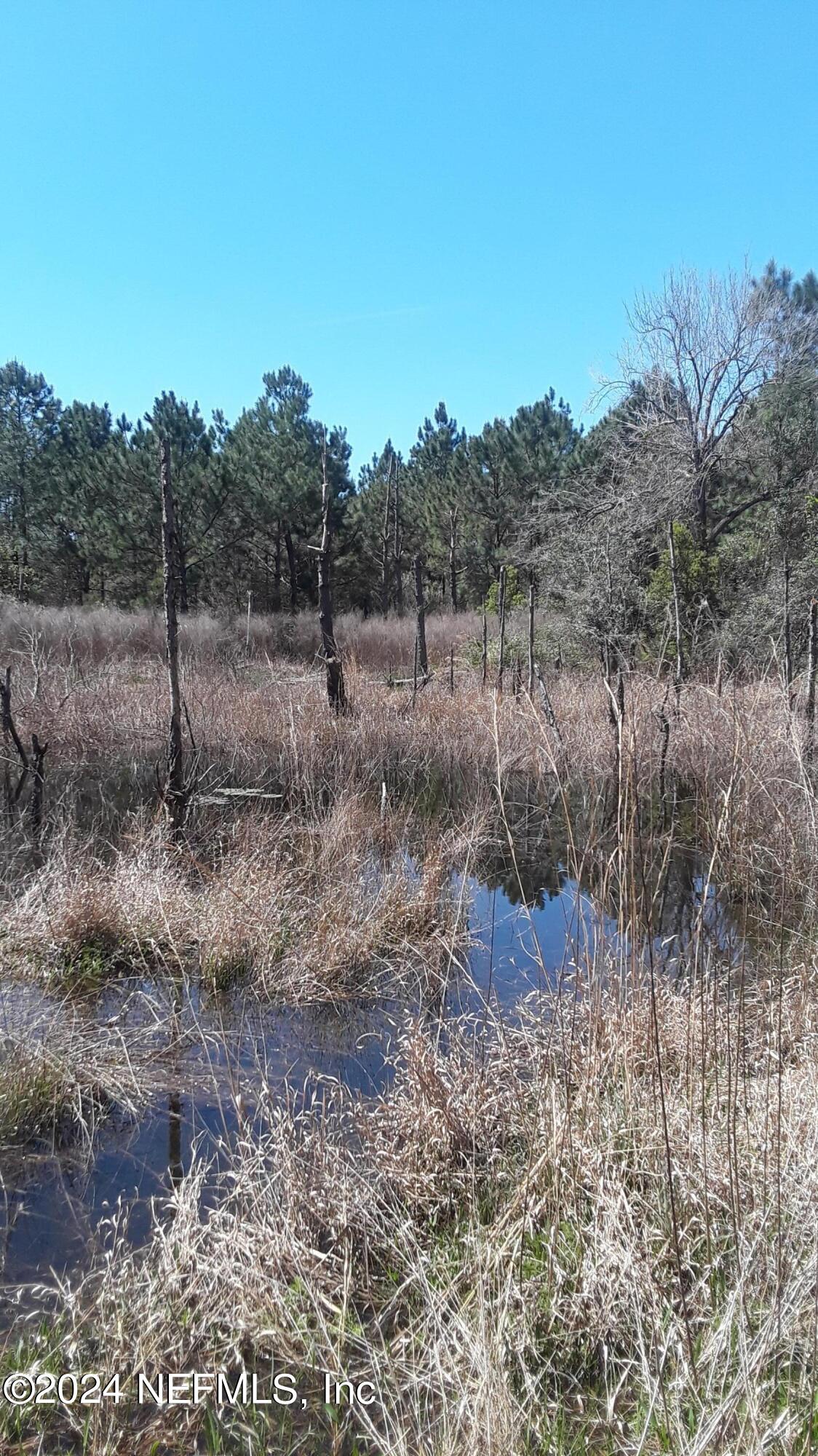 5210 County Road 214 Keystone Heights, FL 32656 - Photo 3 of 10 20220321_130730