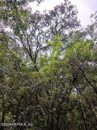 $25,000 | 5210 County Road 214, Keystone Heights, FL 32656