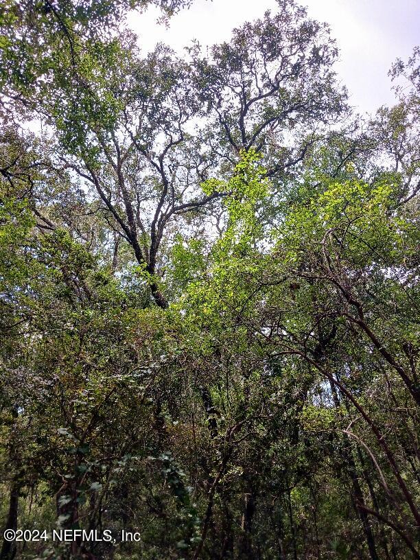 5210 County Road 214 Keystone Heights, FL 32656 - Photo 4 of 10 20240810_145518