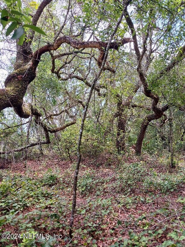 5210 County Road 214 Keystone Heights, FL 32656 - Photo 5 of 10 20240810_145456