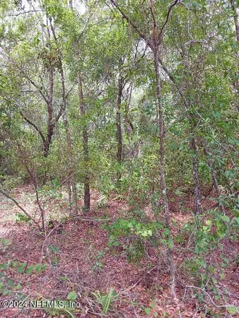 $25,000 | 5210 County Road 214, Keystone Heights, FL 32656