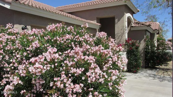 $1,995 | 3332 North Sunaire, Mesa, AZ 85215