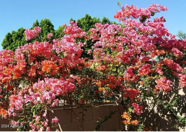 $1,995 | 3332 North Sunaire, Mesa, AZ 85215