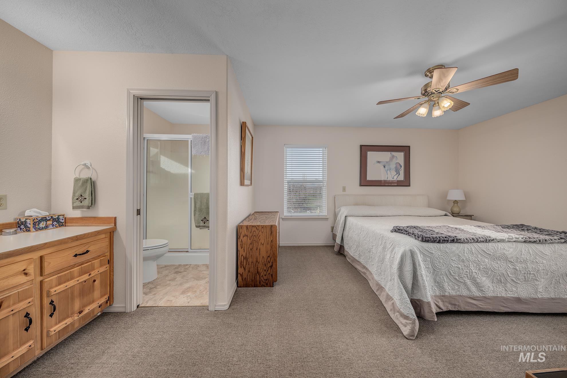 946 Indianhead Road Weiser, ID 83672 - Photo 13 of 36 Bedroom featuring light carpet, ceiling fan, and ensuite bathroom