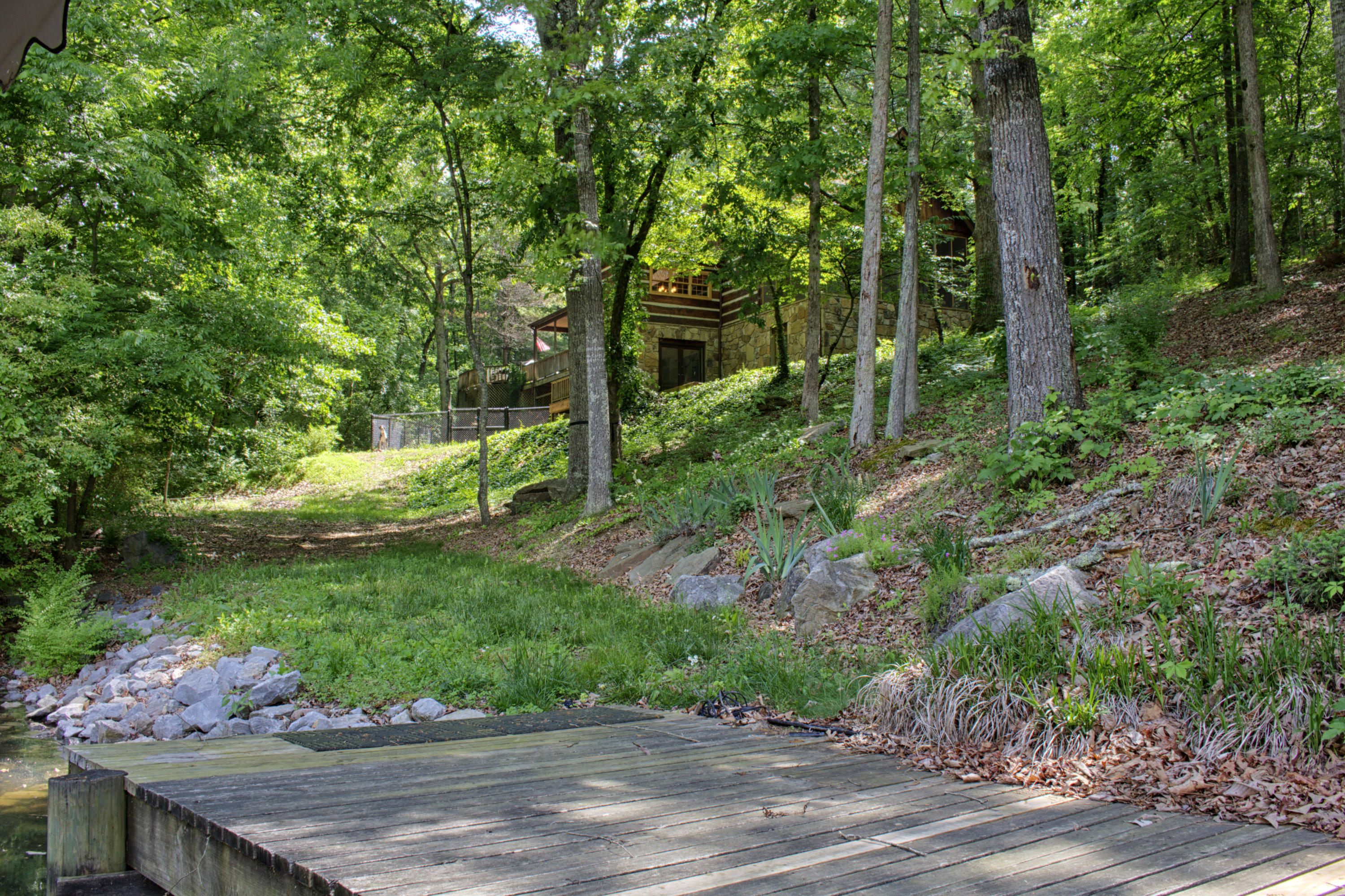 1488 Blackberry Ridge Road Lenoir City, TN 37772 - Photo 23 of 24 Back Yard
