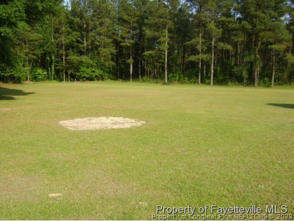 7840 Maxwell Road Stedman, NC 28391 - Photo 4 of 10 a view of a field with a trees in the background