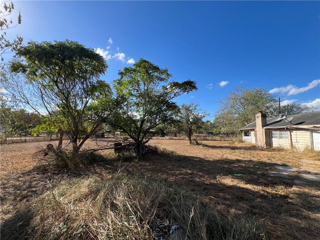 113 4th Street Mathis, TX 78368 - Photo 12 of 13 a view of dirt yard with a large tree