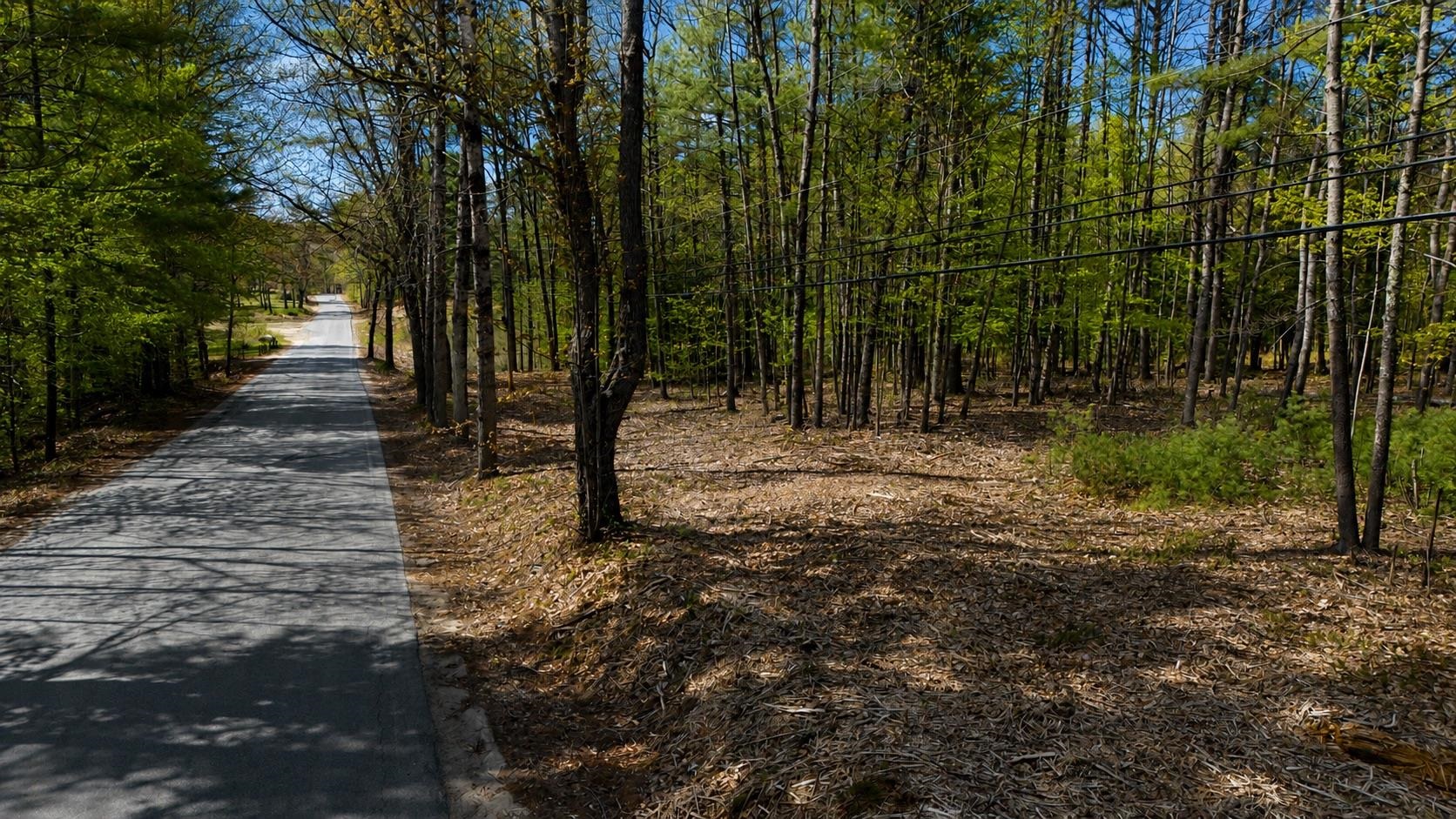 Lot 27.2 Dorrs Corner Road Ossipee, NH 03864 - Photo 4 of 9