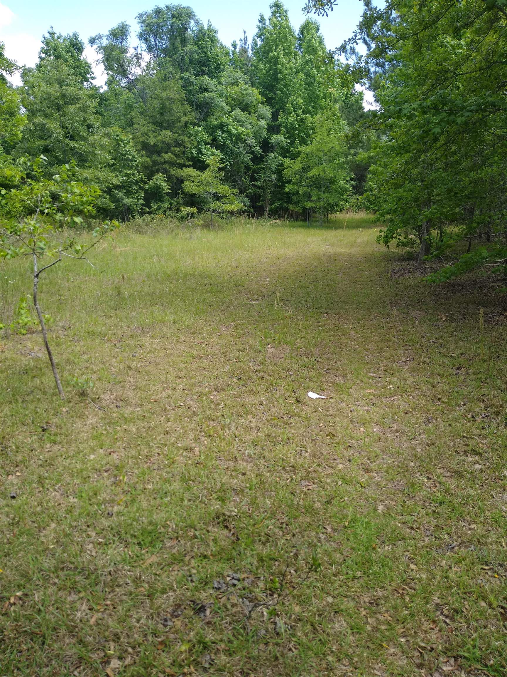 61-a 030 Highway Adrian, GA 31002 - Photo 6 of 6