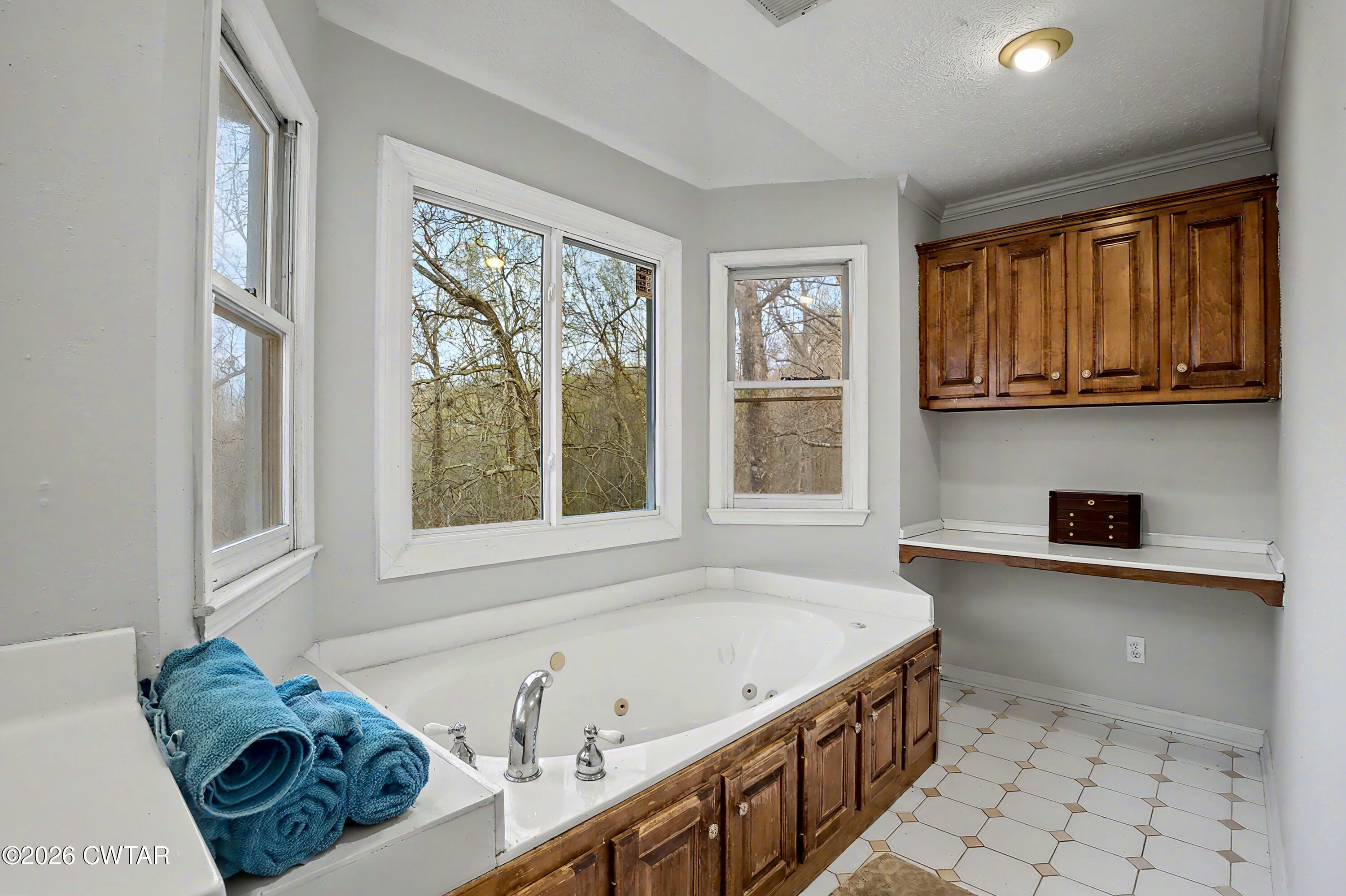 514 George Anderson Road Medina, TN 38355 - Photo 23 of 30 Master Bathroom 2