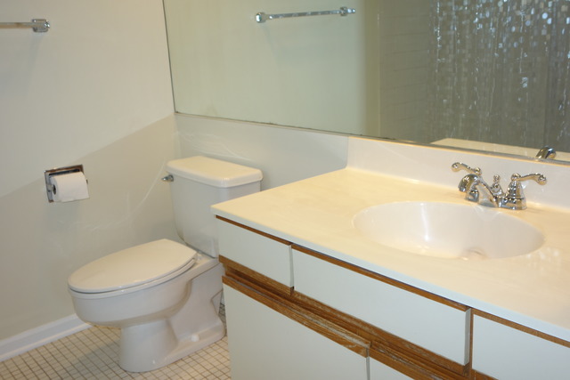 1261 Ranchview Court Buffalo Grove, IL 60089 - Photo 16 of 23 a bathroom with a sink and a toilet