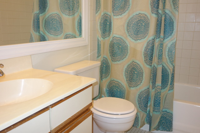 1261 Ranchview Court Buffalo Grove, IL 60089 - Photo 21 of 23 a bathroom with a toilet and a mirror