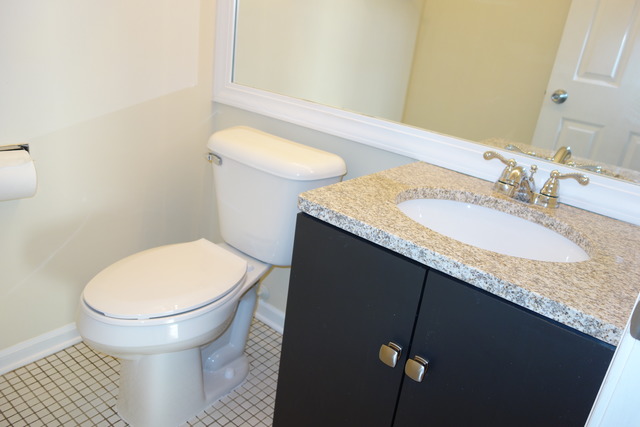 1261 Ranchview Court Buffalo Grove, IL 60089 - Photo 10 of 23 a bathroom with a granite countertop sink and a mirror
