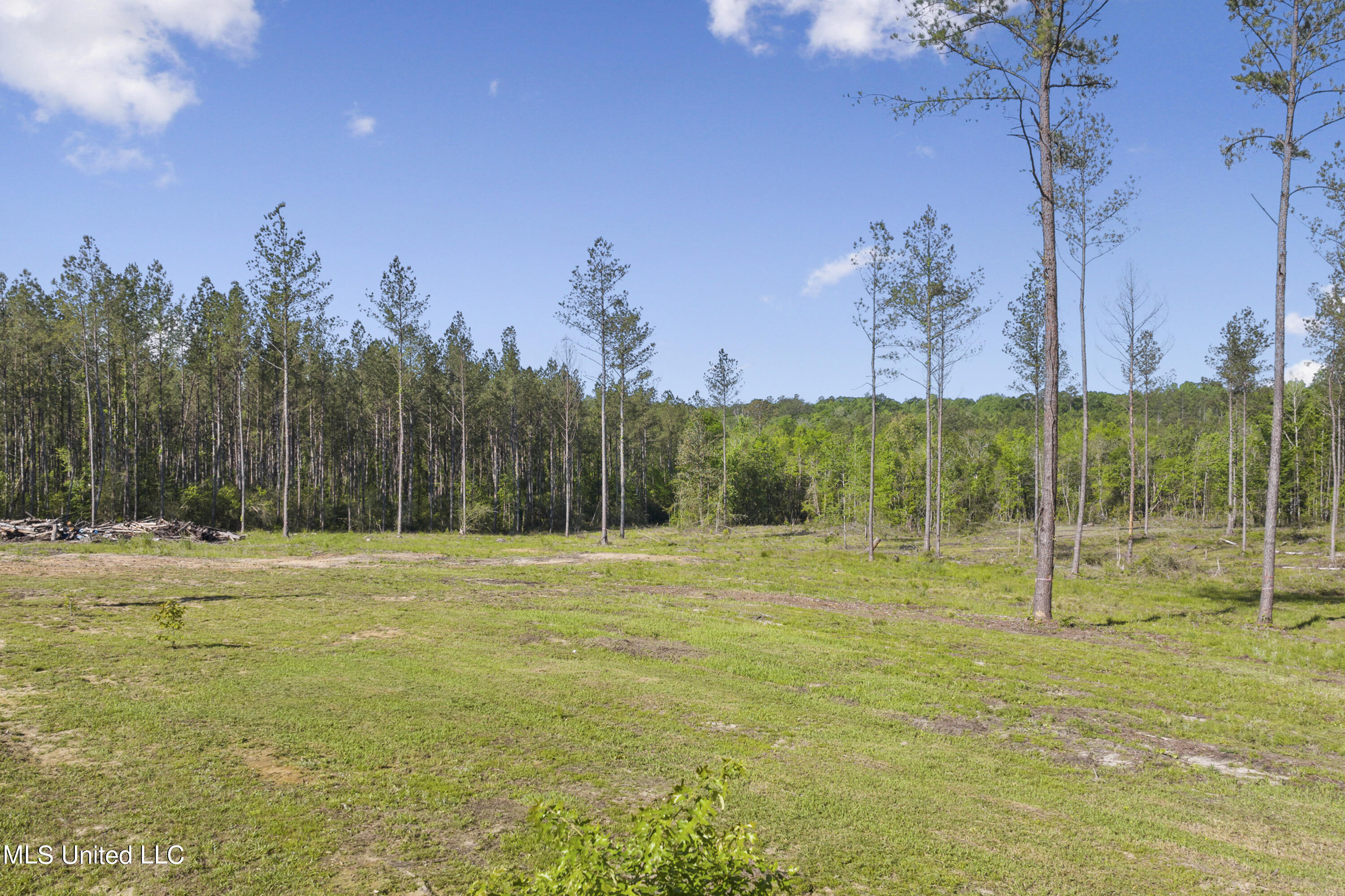 167 Cain Cemetery Road Perkinston, MS 39573 - Photo 31 of 38 031