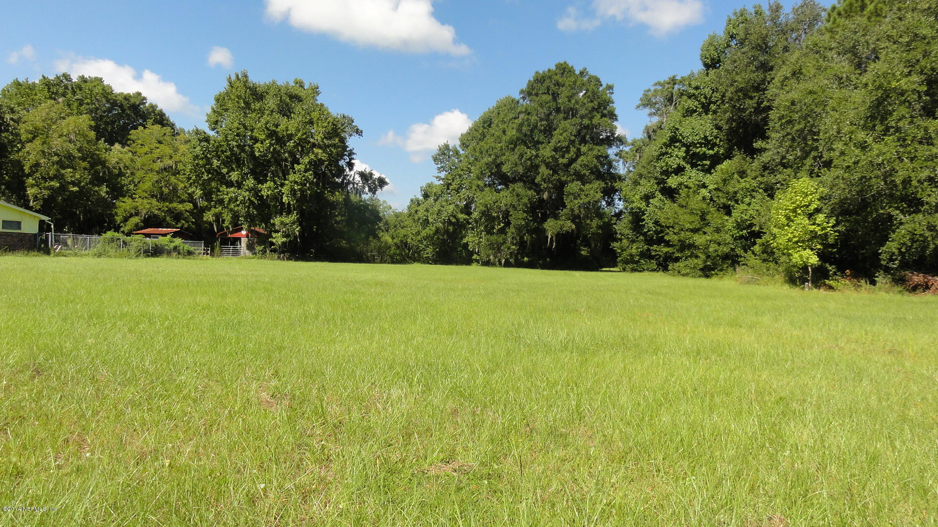 1020 Halsema Road South Jacksonville, FL 32221 - Photo 27 of 32 middle pasture