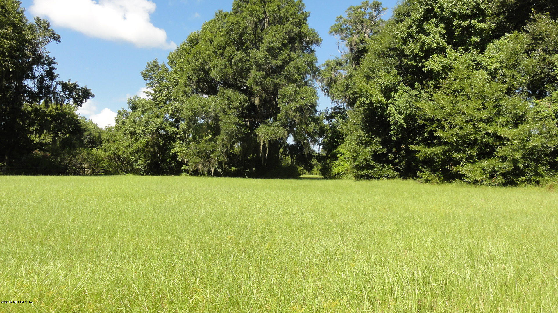 1020 Halsema Road South Jacksonville, FL 32221 - Photo 28 of 32 middle pasture (2)