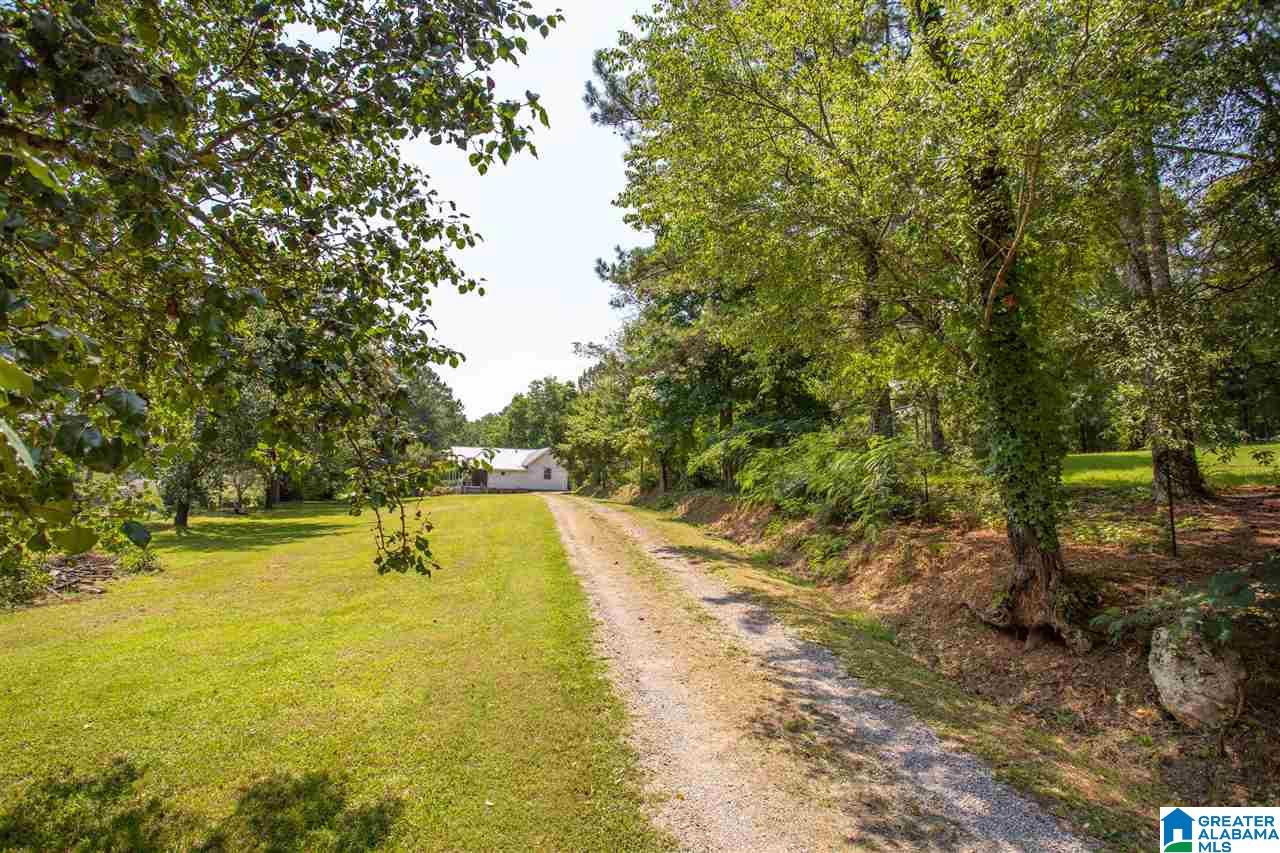 340 Old Springs Road Springville, AL 35146 - Photo 36 of 37