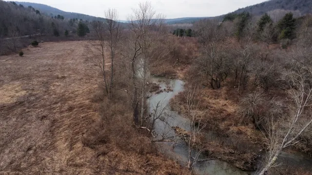 $85,000 | 0 Prospect Valley Road, Candor, NY 13743