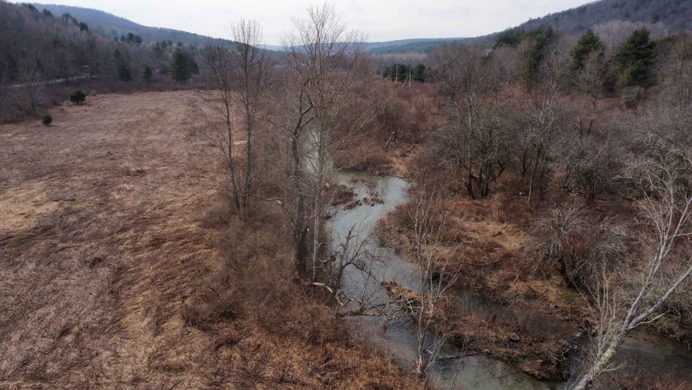 0 Prospect Valley Road Candor, NY 13743 - Photo 13 of 28