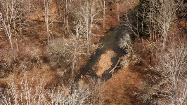 $85,000 | 0 Prospect Valley Road, Candor, NY 13743