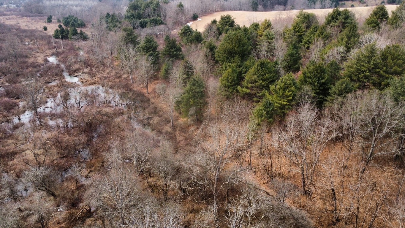 0 Prospect Valley Road Candor, NY 13743 - Photo 15 of 28