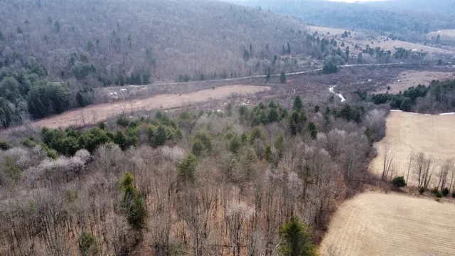 $85,000 | 0 Prospect Valley Road, Candor, NY 13743