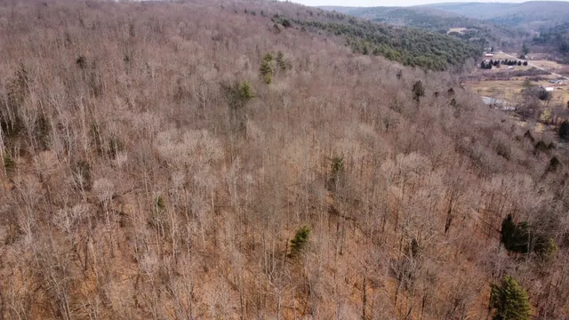 $85,000 | 0 Prospect Valley Road, Candor, NY 13743