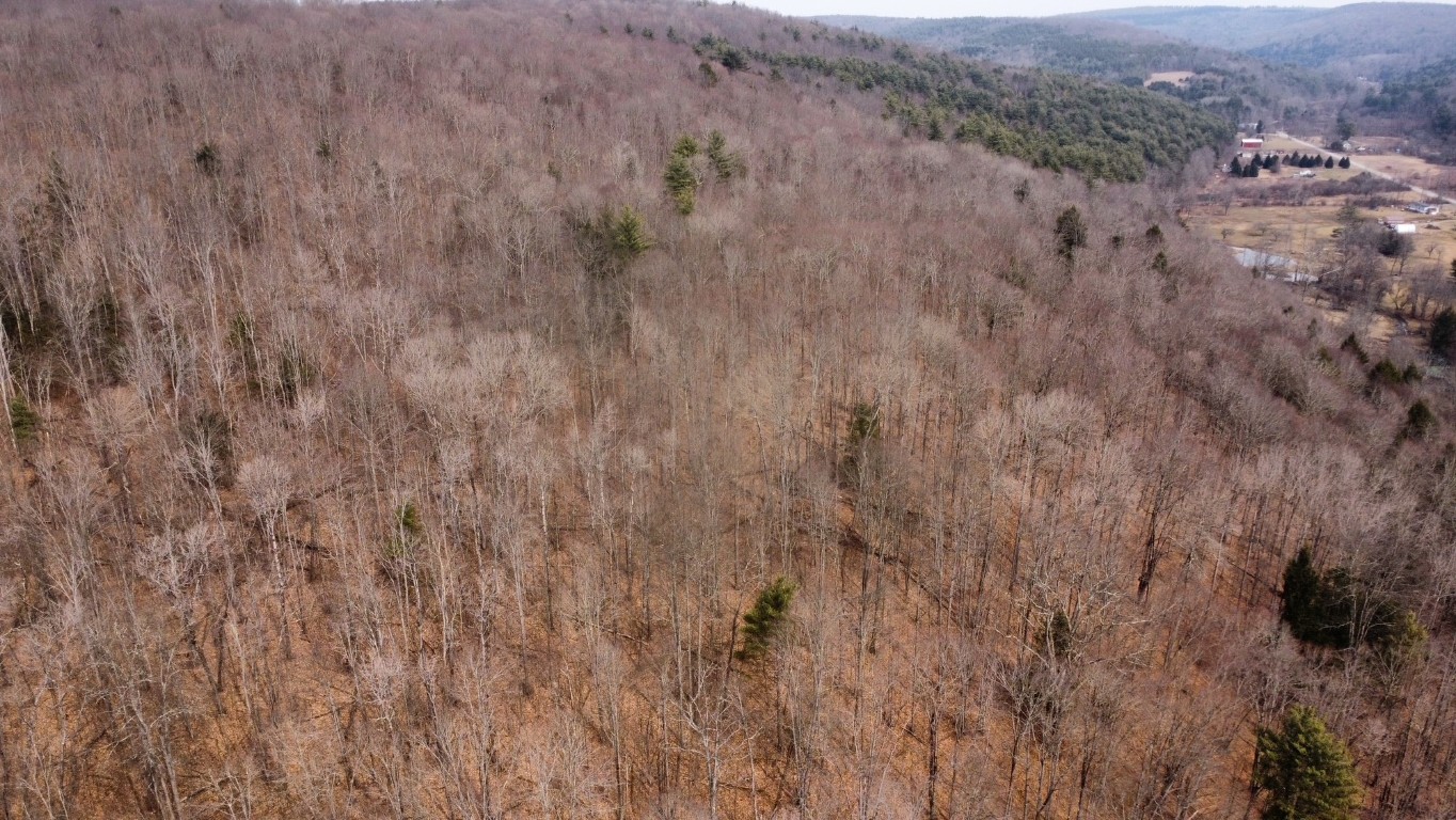 0 Prospect Valley Road Candor, NY 13743 - Photo 17 of 28