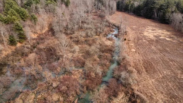 $85,000 | 0 Prospect Valley Road, Candor, NY 13743