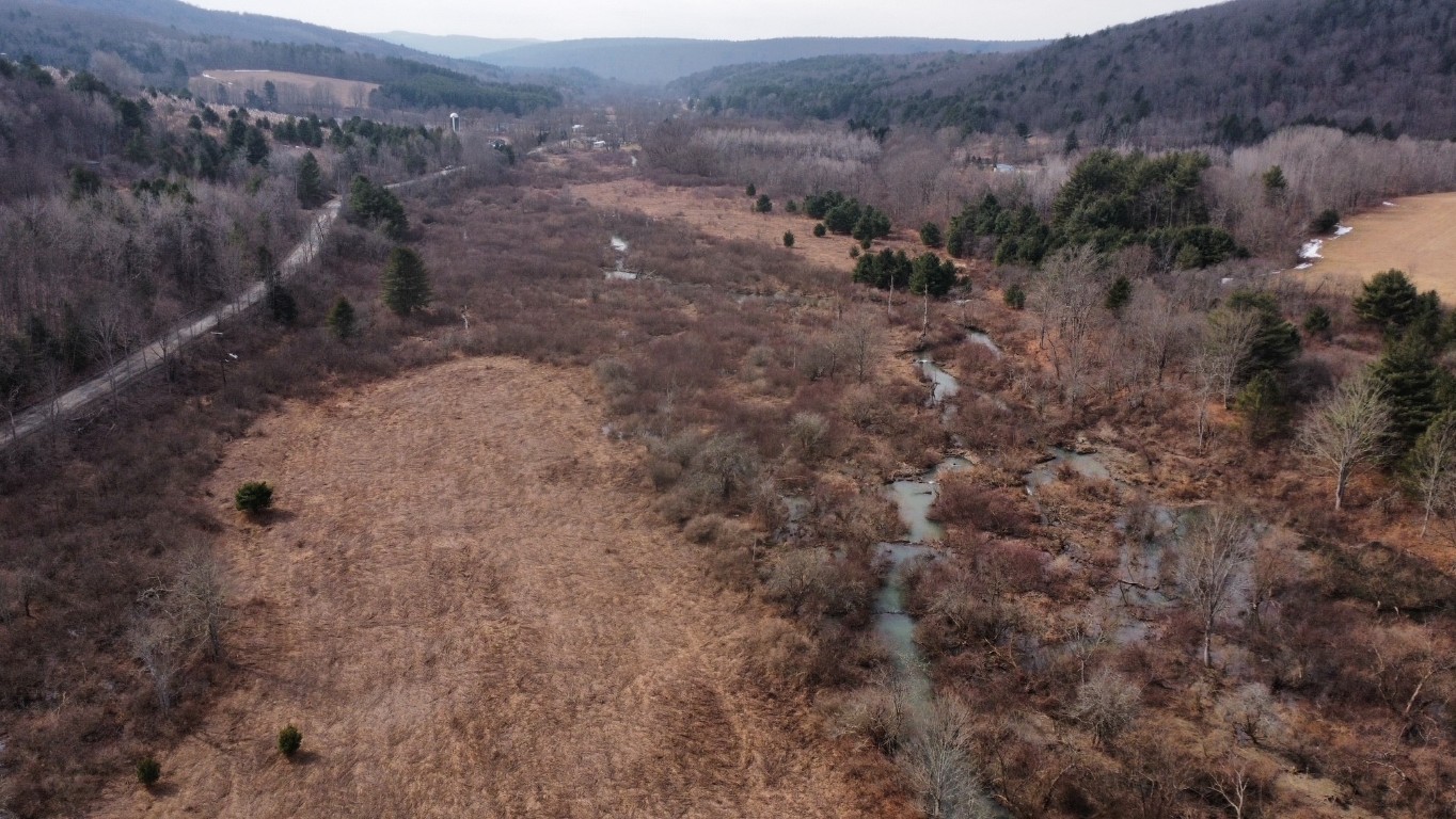 0 Prospect Valley Road Candor, NY 13743 - Photo 19 of 28