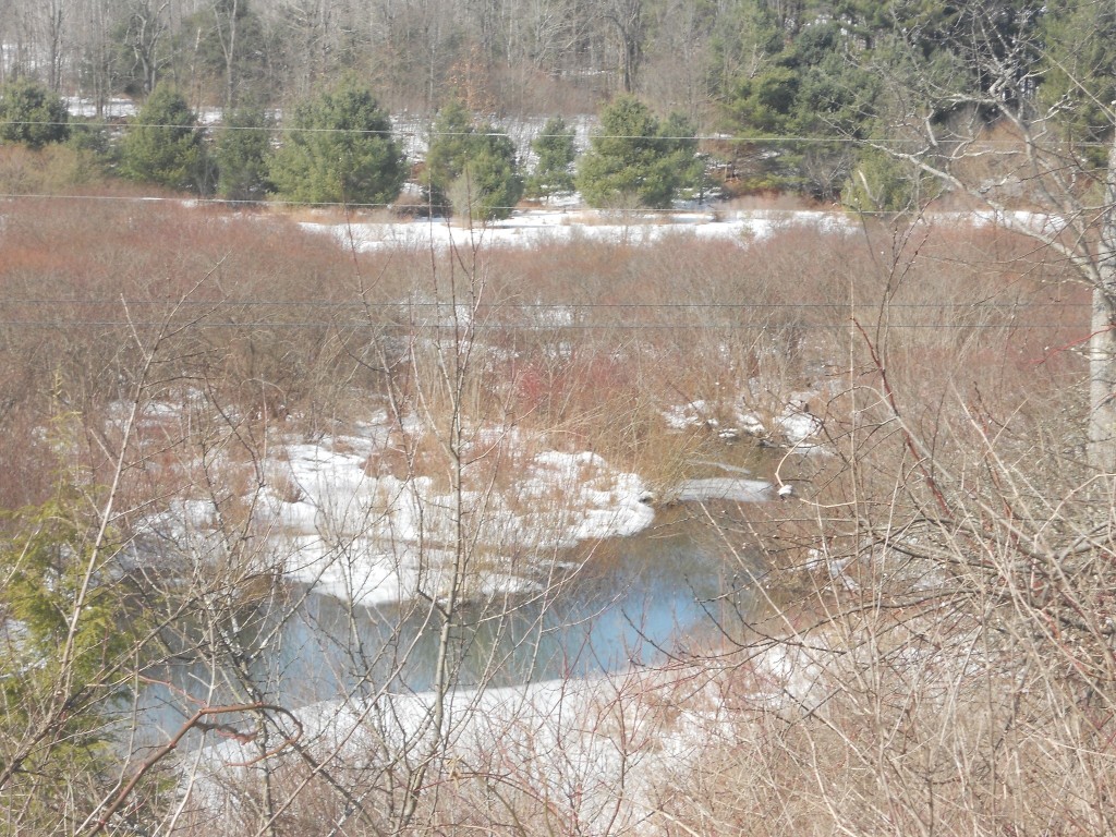 0 Prospect Valley Road Candor, NY 13743 - Photo 25 of 28