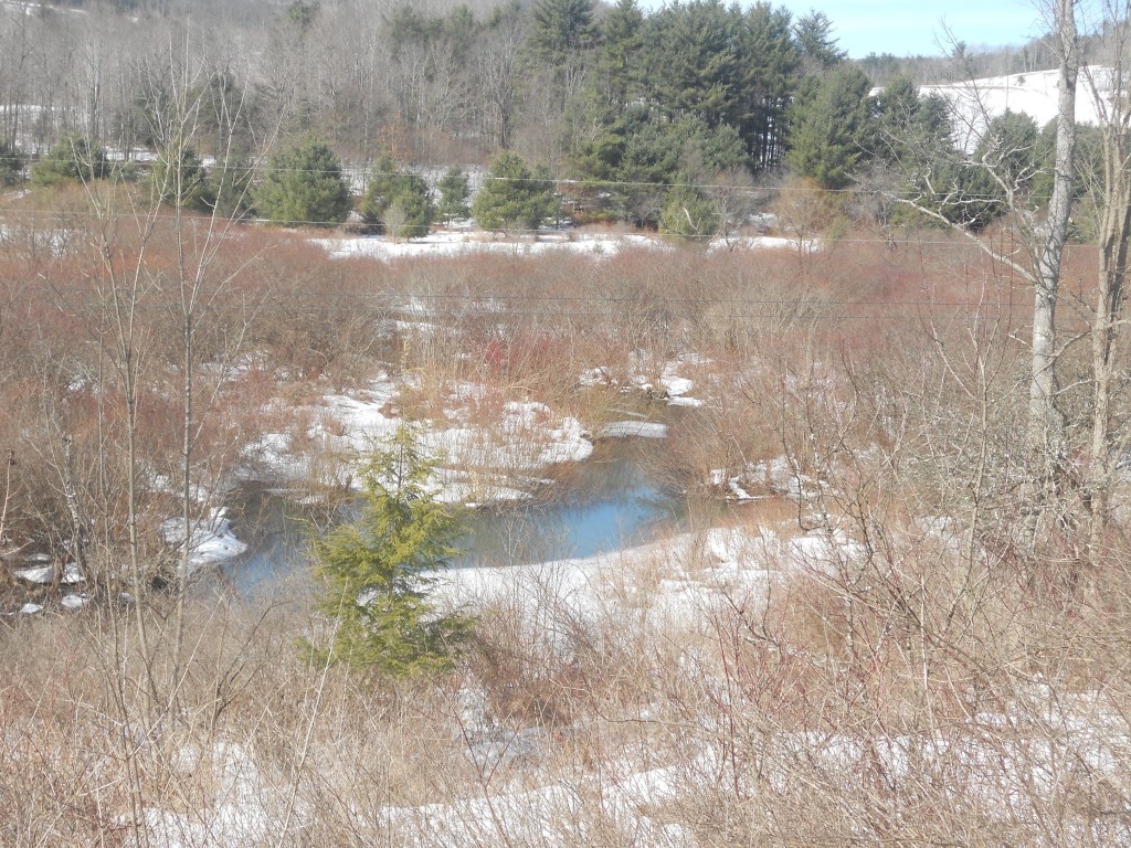 0 Prospect Valley Road Candor, NY 13743 - Photo 27 of 28