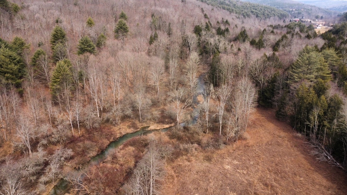 0 Prospect Valley Road Candor, NY 13743 - Photo 5 of 28