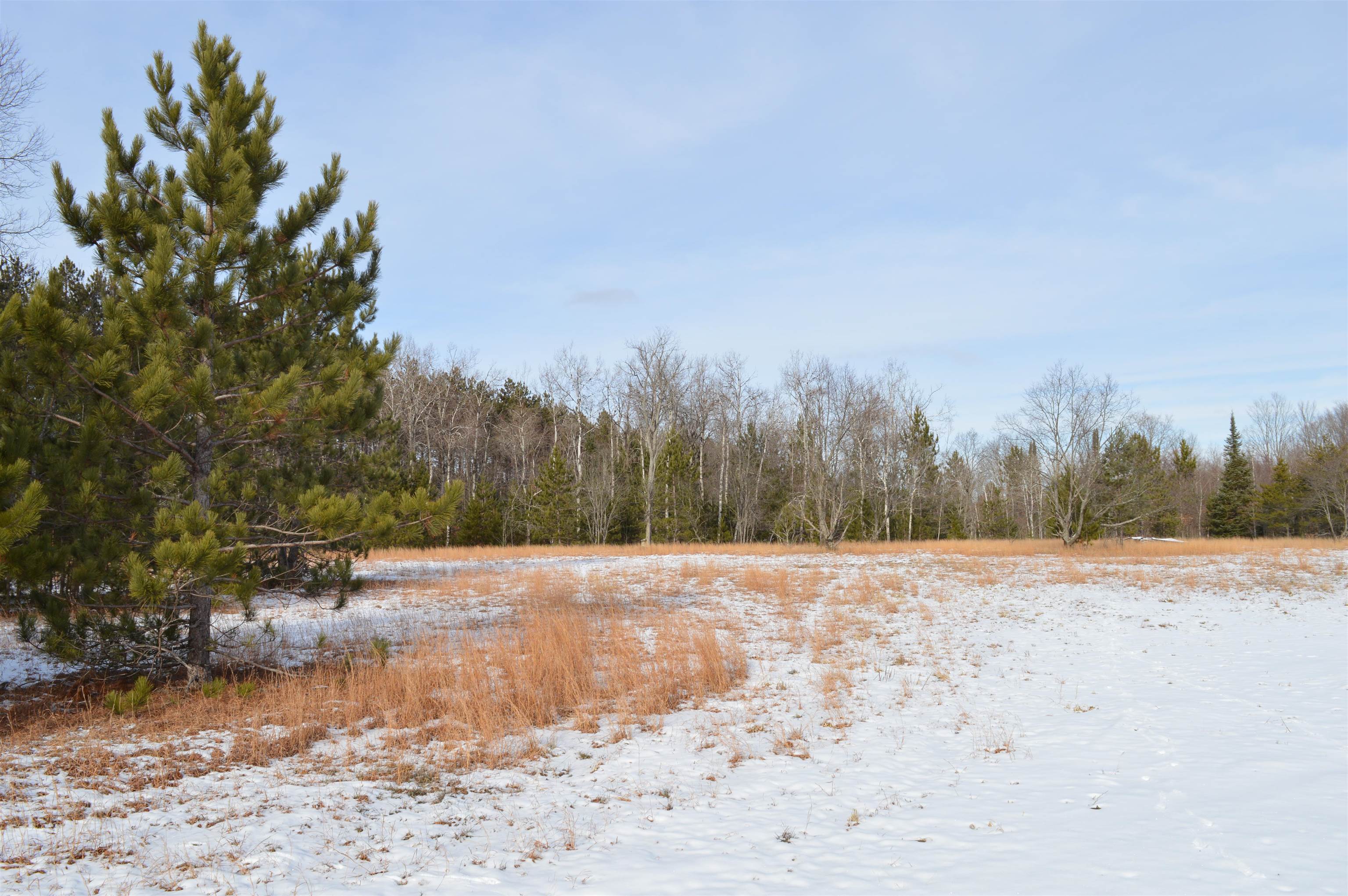 Off Wood Road Northeast Kalkaska, MI 49646 - Photo 4 of 22