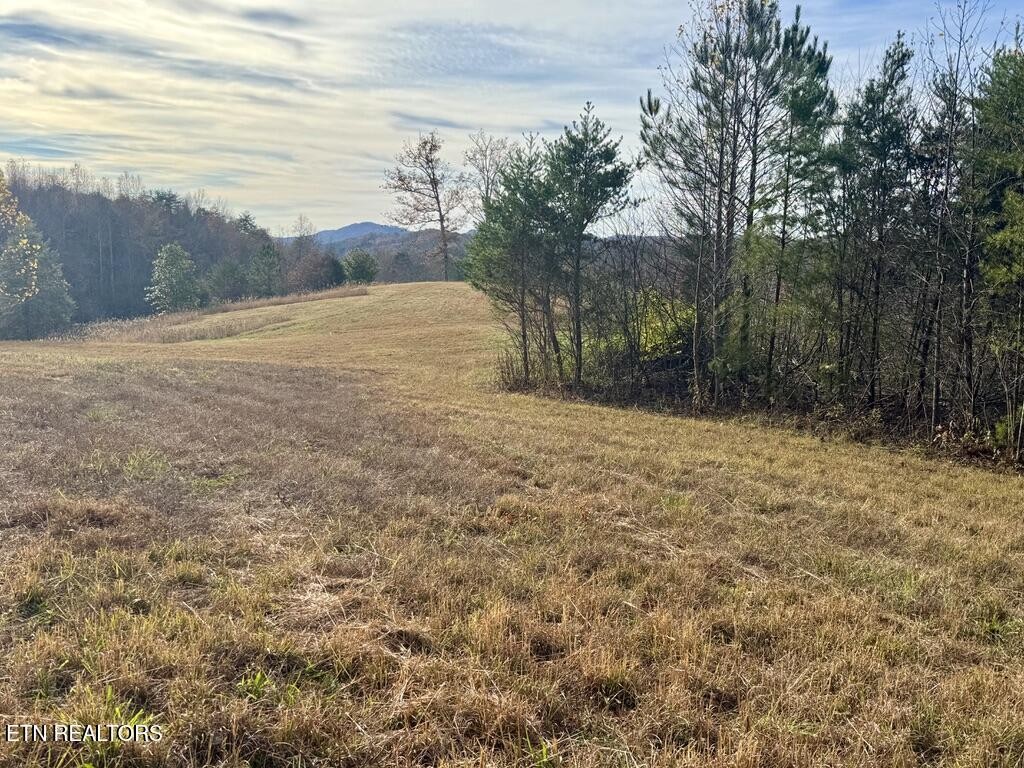 1 Three Point Road Vonore, TN 37885 - Photo 6 of 15 Gallery Image 6