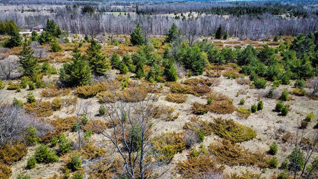 Woodcrest Road Sister Bay, WI 54234 - Photo 5 of 15