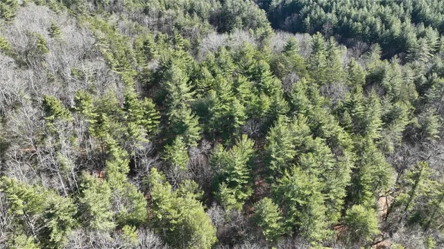 $98,000 | Tbd Big Ivy Road, Purlear, NC 28665