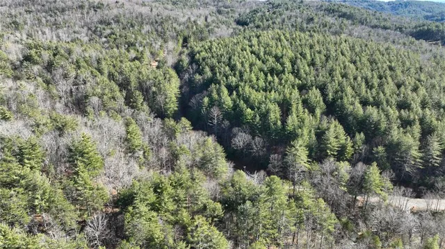 $98,000 | Tbd Big Ivy Road, Purlear, NC 28665