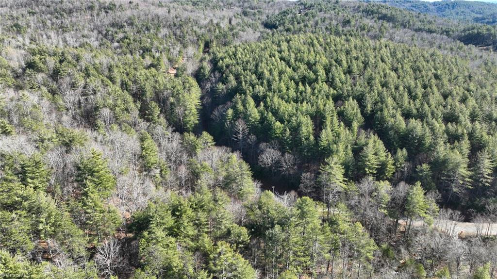 Tbd Big Ivy Road Purlear, NC 28665 - Photo 12 of 50