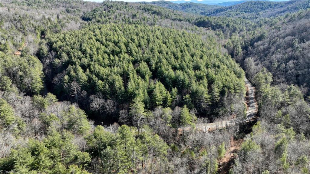 Tbd Big Ivy Road Purlear, NC 28665 - Photo 13 of 50