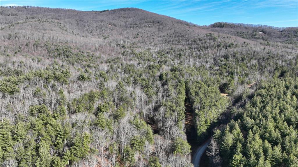 Tbd Big Ivy Road Purlear, NC 28665 - Photo 14 of 50