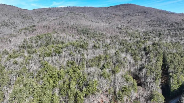 $98,000 | Tbd Big Ivy Road, Purlear, NC 28665