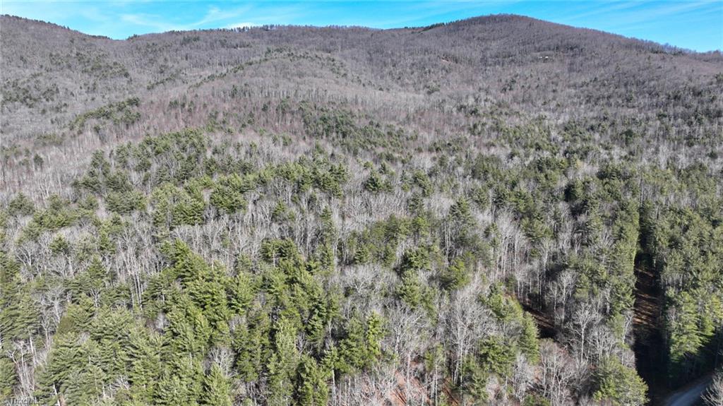 Tbd Big Ivy Road Purlear, NC 28665 - Photo 15 of 50