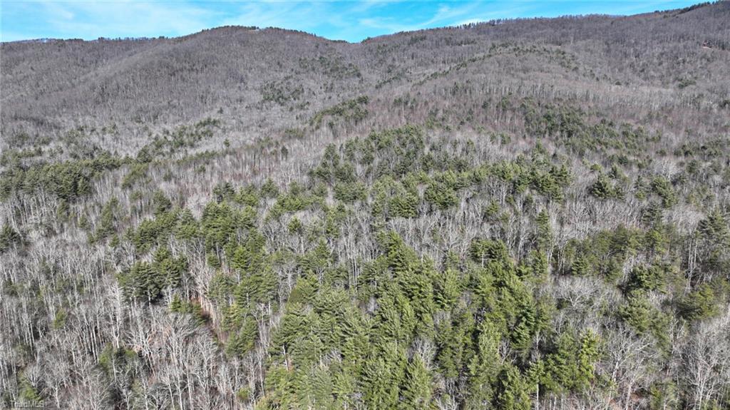 Tbd Big Ivy Road Purlear, NC 28665 - Photo 16 of 50