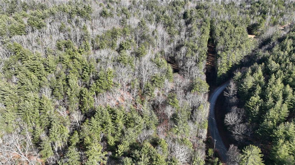 Tbd Big Ivy Road Purlear, NC 28665 - Photo 18 of 50